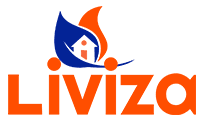 Liviza Bangladesh Logo